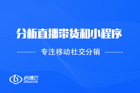 簡(jiǎn)單的分析直播帶貨和小程序